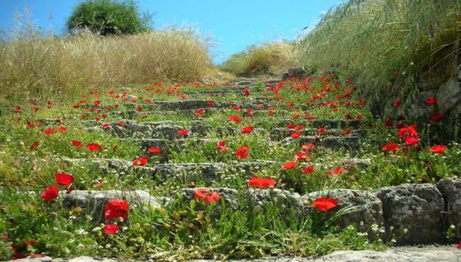 Angeliki Pension Katapola Bagian luar foto