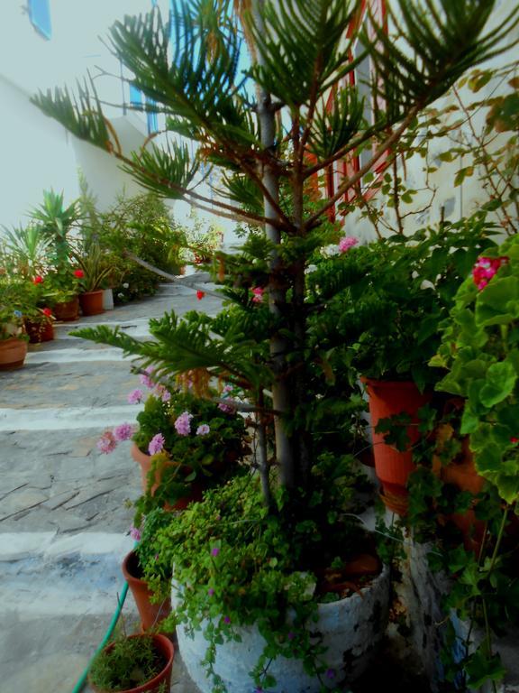 Angeliki Pension Katapola Bagian luar foto